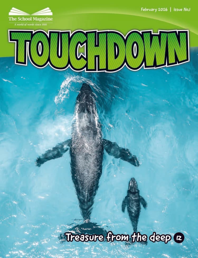 image of cover of Touchdown 1 2026